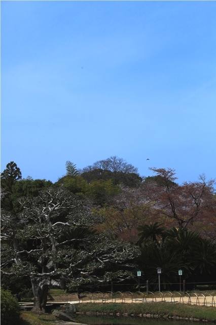 IMG_8541.JPG