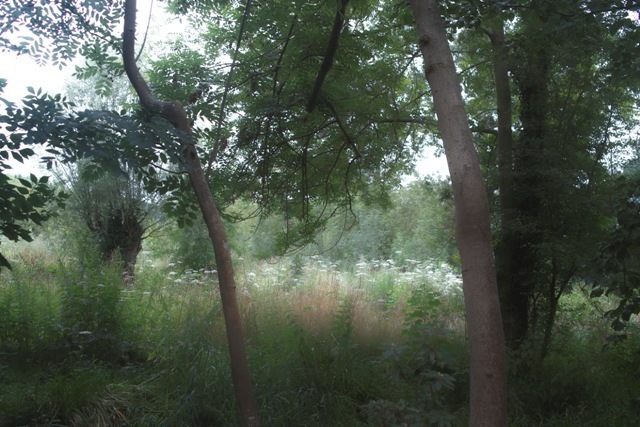 SDIM1098.jpg