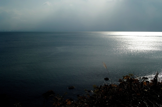 SDIM9008.jpg