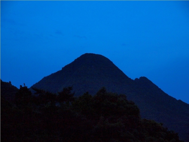 _6061478.jpg
