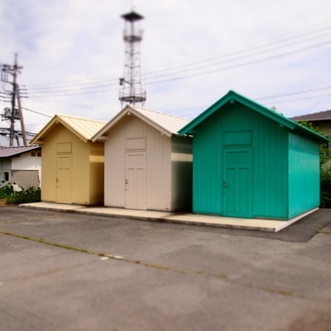 _7210137.jpg