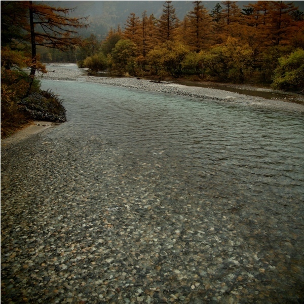 _A253646.jpg