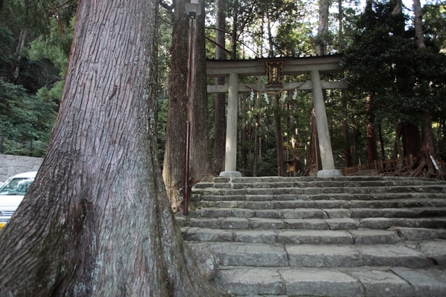 _MG_4645.JPG
