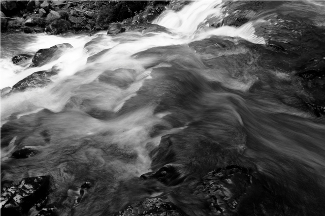 _MG_5974.JPG