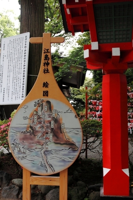 _MG_6619.JPG