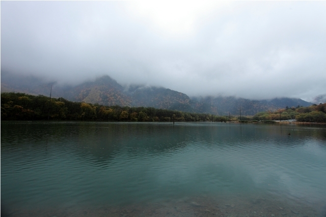 _MG_8535.JPG