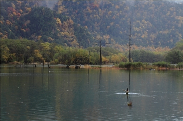 _MG_8538.JPG
