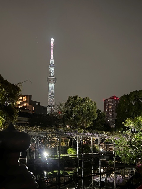 IMG_7084.JPG