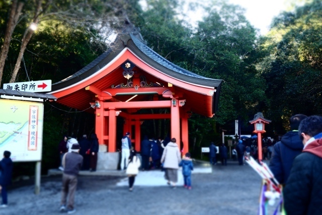 P1010264.jpg