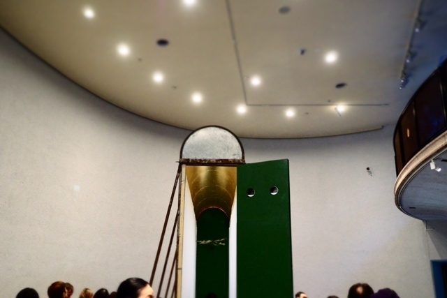 P1110114.jpg