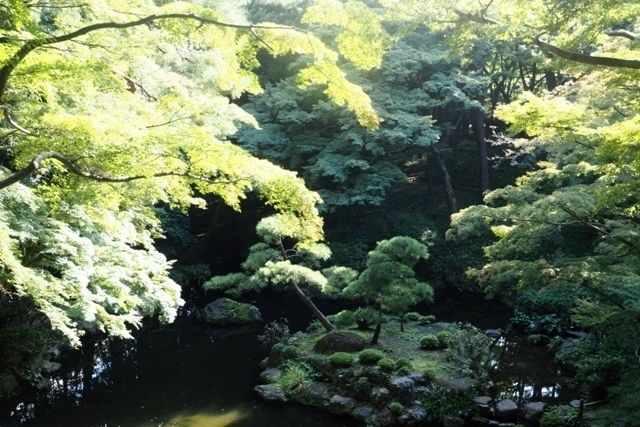 PA030099.jpg