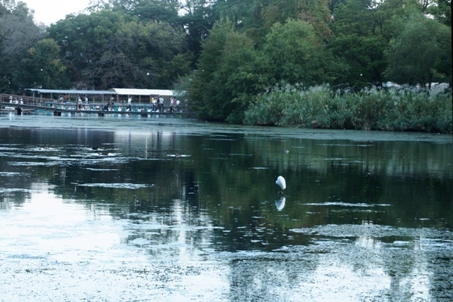 PA030104.jpg