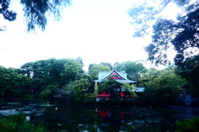 PA030108.jpg