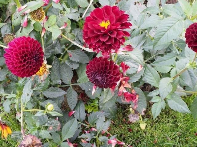 PA210936.jpg