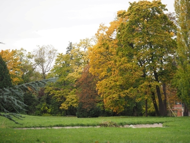 PA210962.jpg