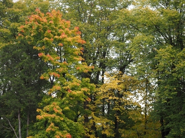 PA210988.jpg