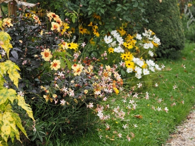 PA210993.jpg