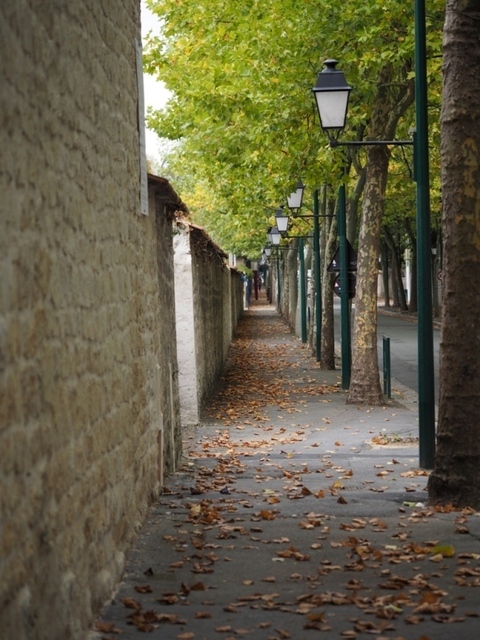 PA211002.jpg