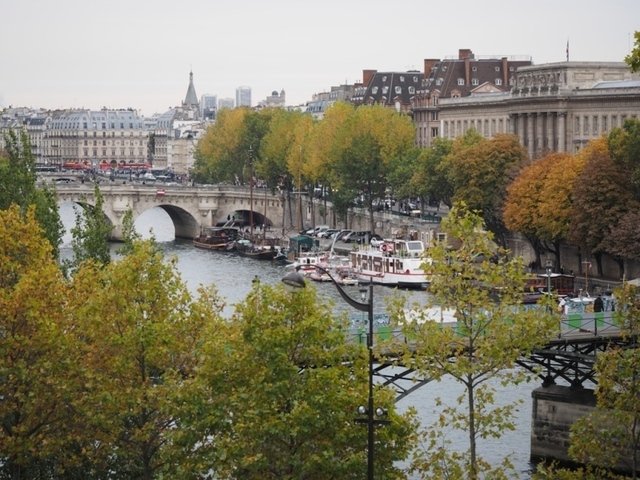 PA221023.jpg