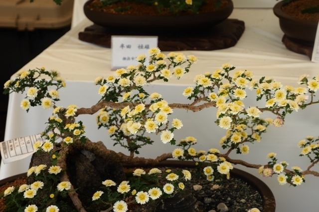 PA300211.jpg