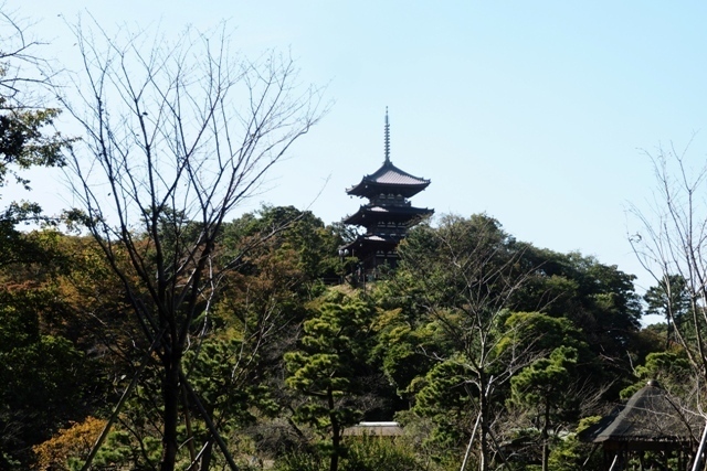 PA300216.jpg