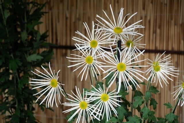 PB120057.jpg