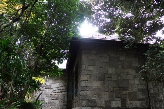 PB290147.jpg