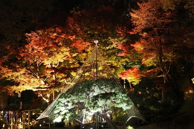 R1010006.jpg