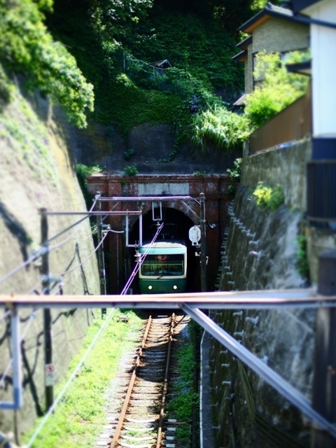 R1010009.jpg