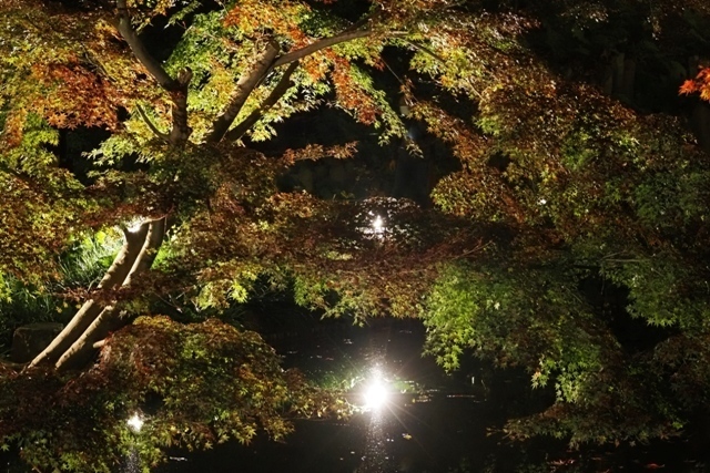 R1010014.jpg