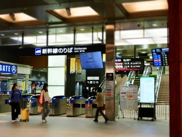 R1010015.jpg
