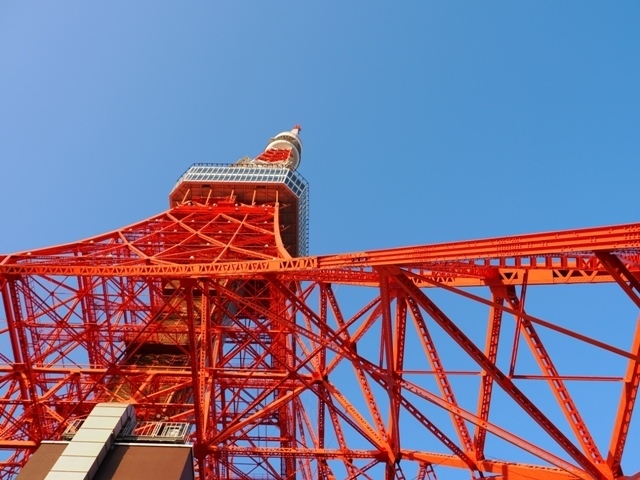 R1010025.jpg