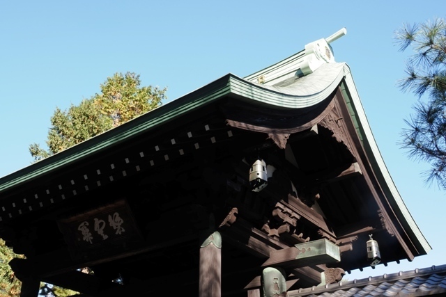 R1010047.jpg