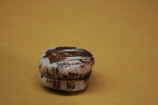 R1010049.jpg