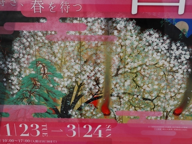 R1010051.jpg