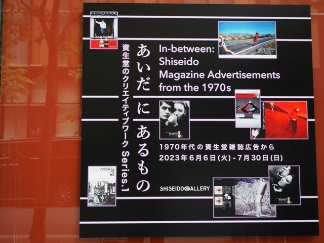 R1010051.jpg