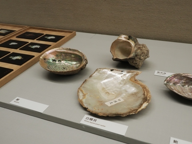 R1010052.jpg