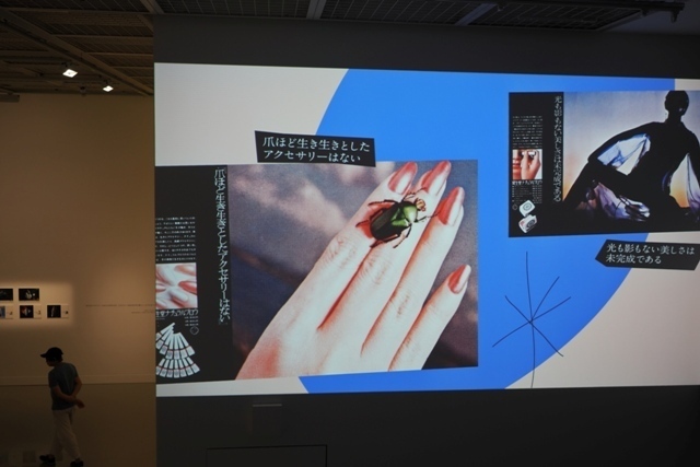 R1010053.jpg