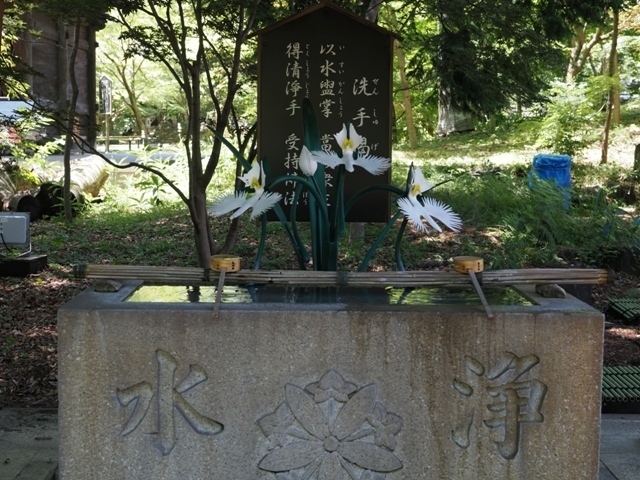 R1010071.jpg