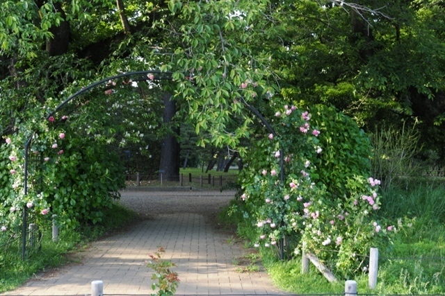 R1010082.jpg