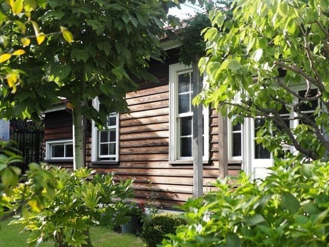 R1010082.jpg