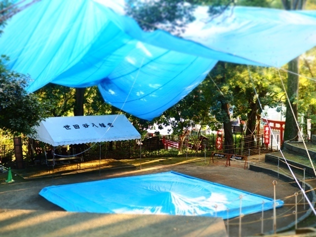 R1010087.jpg