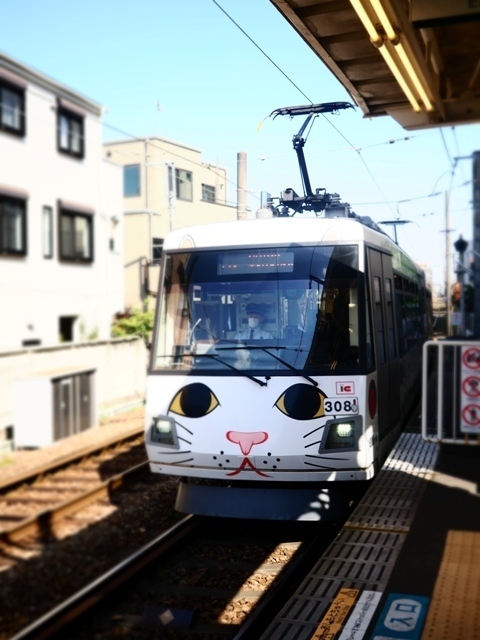 R1010107.jpg