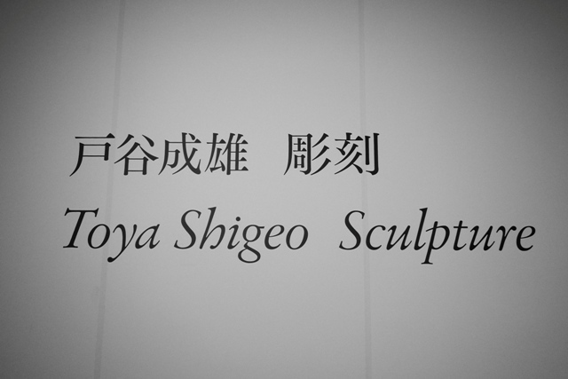 R1010118.jpg