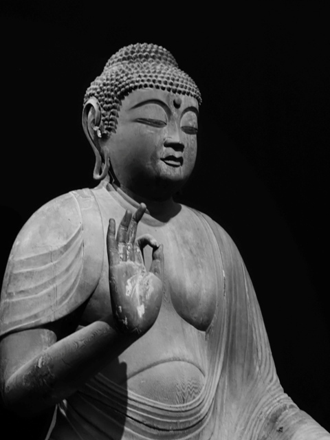 R1010149.jpg
