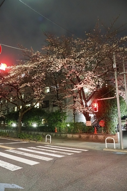 R1010184.jpg