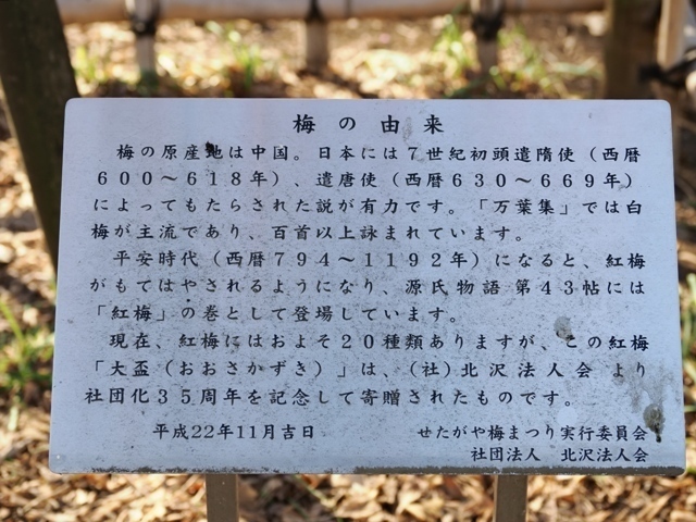 R1010202.jpg