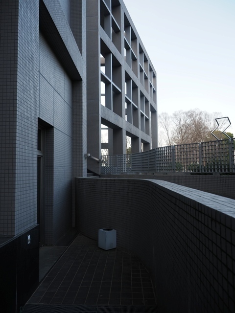 R1010218.jpg