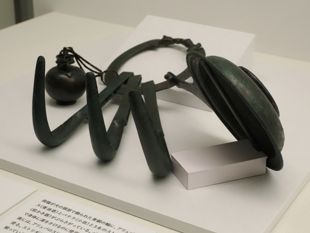 R1010239.jpg