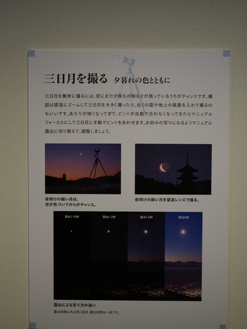 R1010290.jpg